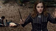Protego | Image Source: Warner Bros. Pictures